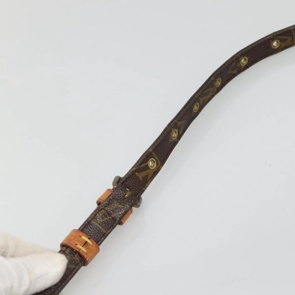 LOUIS VUITTON Monogram Amazon Shoulder Bag - Picture 8 of 16